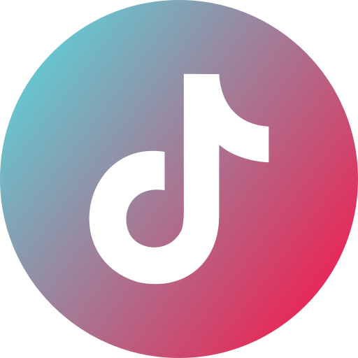 tiktok story viewer